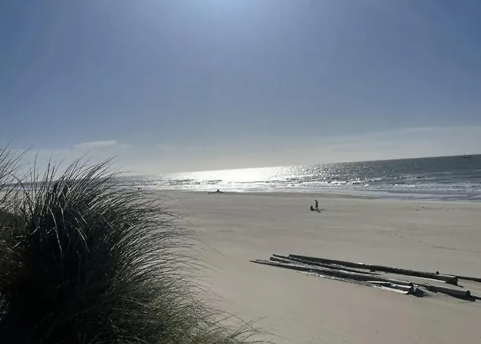 Texel * Де-Коог