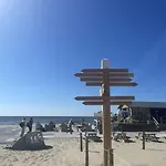 Texel