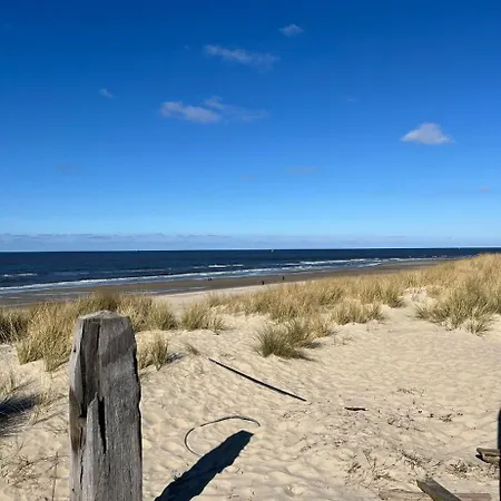 Texel