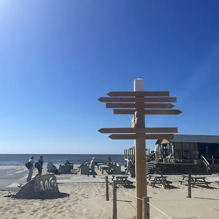 Texel